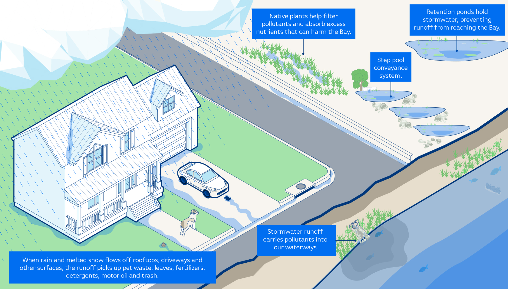 How stormwater affects the environment